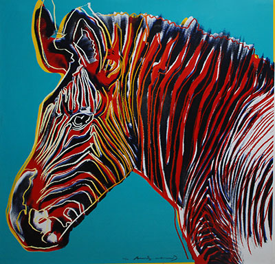 Zebra