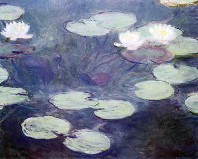 Pink Water-Lilies