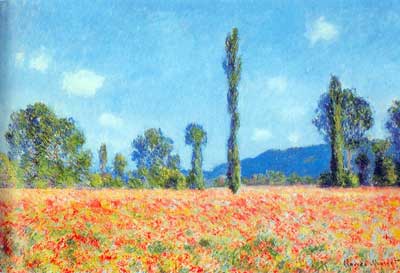 Poppy Field