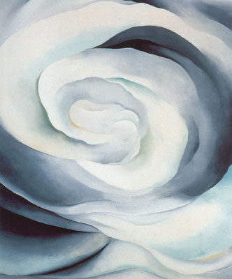 Abstraction White Rose