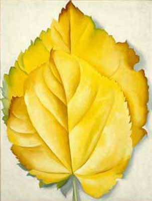 Two Yellow Leaves