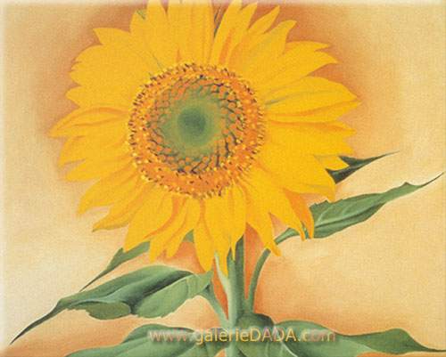 Georgia OKeeffe, A Sunflower from Maggie Fine Art Reproduction Oil Painting