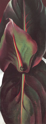 Georgia OKeeffe, Canna Leaves Fine Art Reproduction Oil Painting