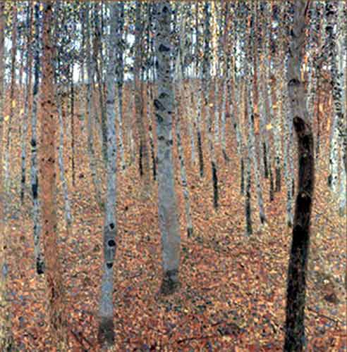 Beech Forest I