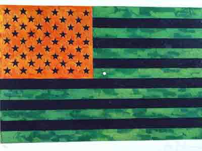 Jasper Johns, Flag (Moratorium) Fine Art Reproduction Oil Painting