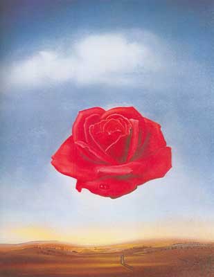 Salvador Dali, Meditative Rose Fine Art Reproduction Oil Painting