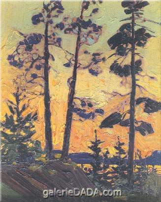 Pine Trees at Sunset