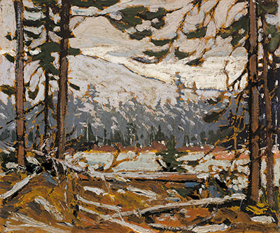 Woodland Interior, Algonquin Park