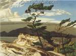 Alfred J. Casson, White Pine Fine Art Reproduction Oil Painting