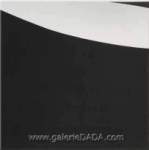 Ellsworth Kelly, White Black Fine Art Reproduction Oil Painting