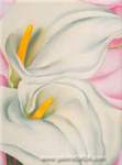 Georgia OKeeffe, Calla Lilies in Pink Fine Art Reproduction Oil Painting