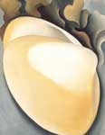 Georgia OKeeffe, Tan Clam Shell with Seaweed Fine Art Reproduction Oil Painting