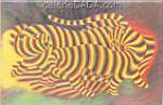 Victor Vasarely, Tigers Fine Art Reproduction Oil Painting